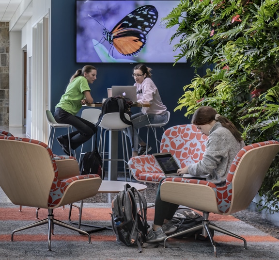 Three female college students studying inside an academic building on laptops by live plant wall