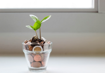 Plant growing out of a glass cup filled with coins