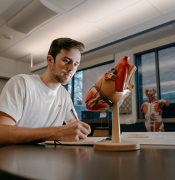 Male college student writing notes in notebook at a table with a model of a human heart