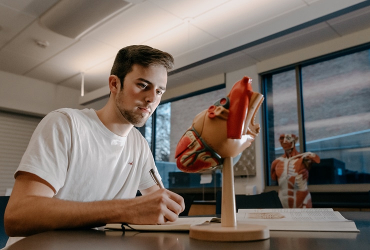 Male college student writing notes in notebook at a table with a model of a human heart
