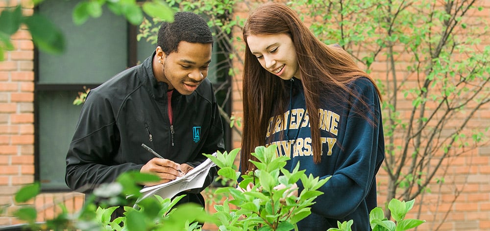 Cornerstone University students studying environmental biology.