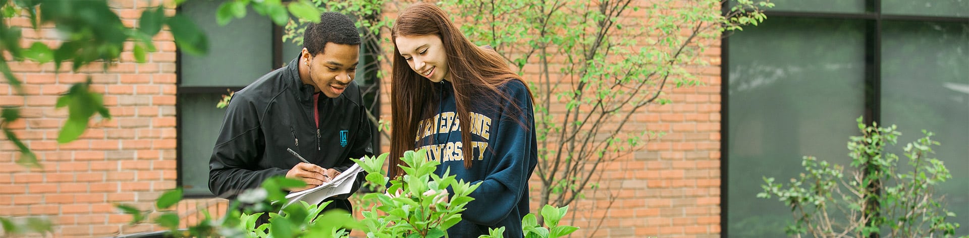 Cornerstone University students studying environmental biology.