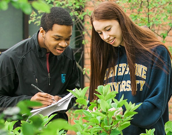 Cornerstone University students studying environmental biology.