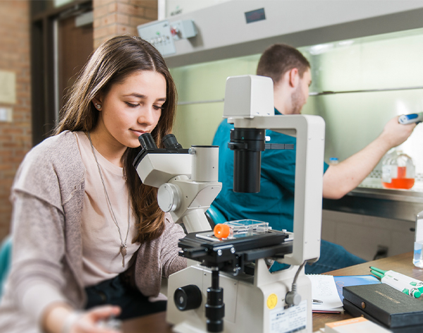 Students apply skills learned as part of their B.S. in Biology degree from Cornerstone University.