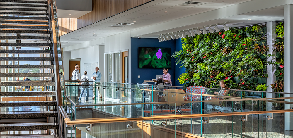 Environmental Sustainability students