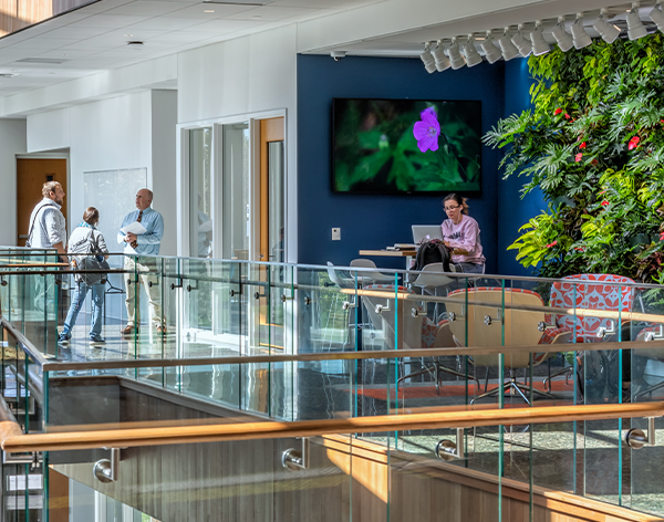 Environmental Sustainability students