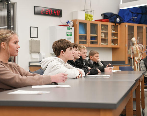 Stem Workshop: Created to Discover